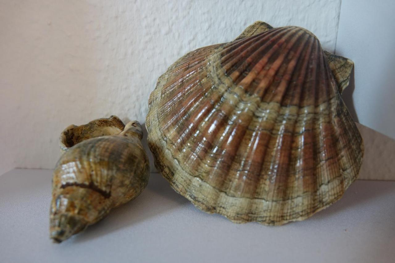 Ferienwohnung Kiel Luaran gambar